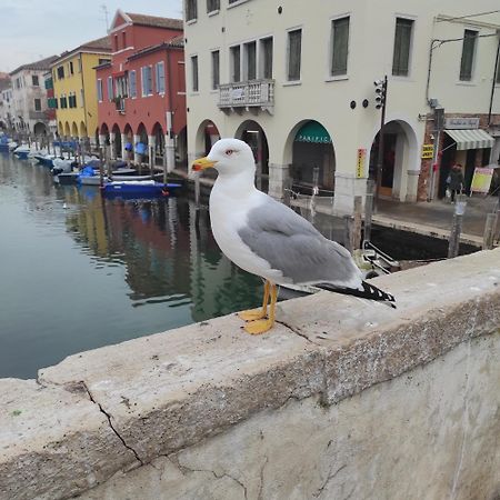 Ca' Dell'Angelo Bed & Breakfast Chioggia Bagian luar foto